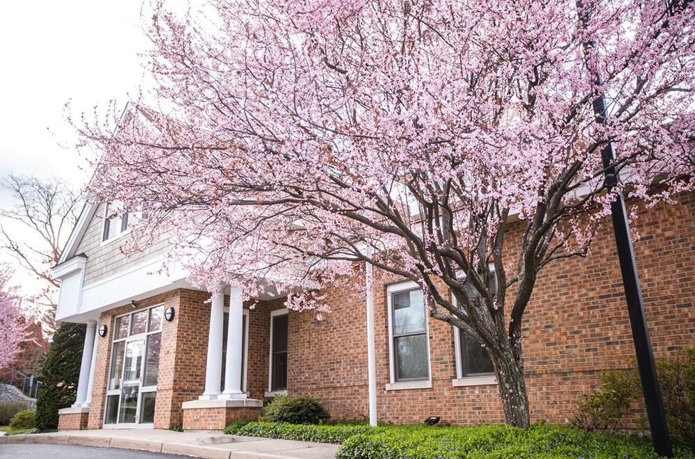 Office Exterior